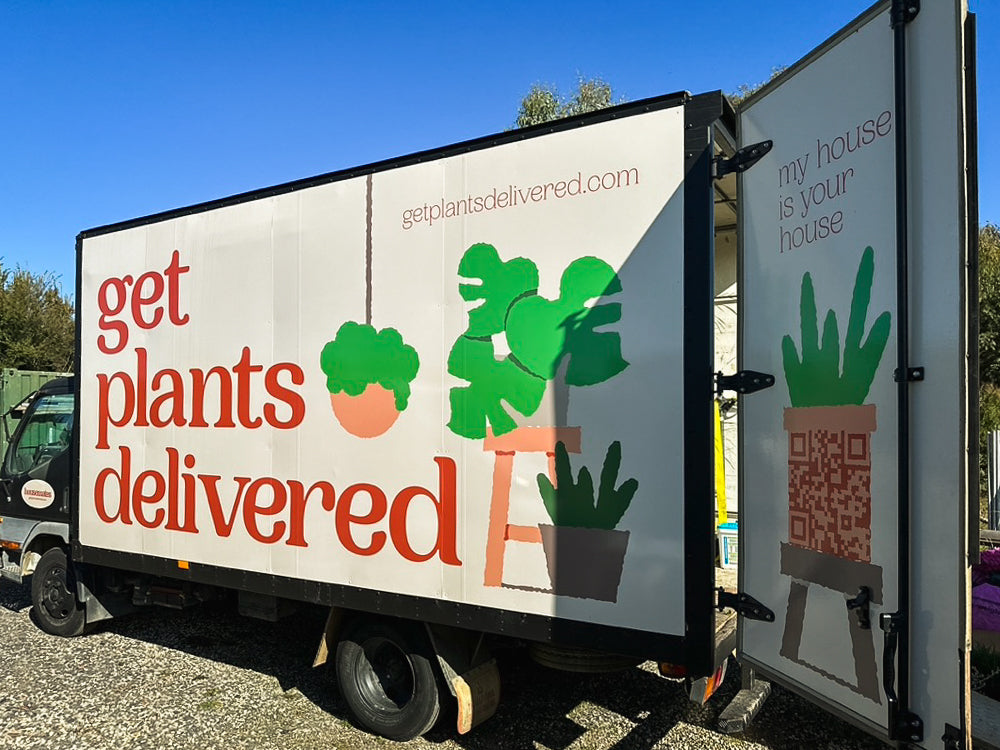 Get Plants Delivered! Why you should consider plant delivery...