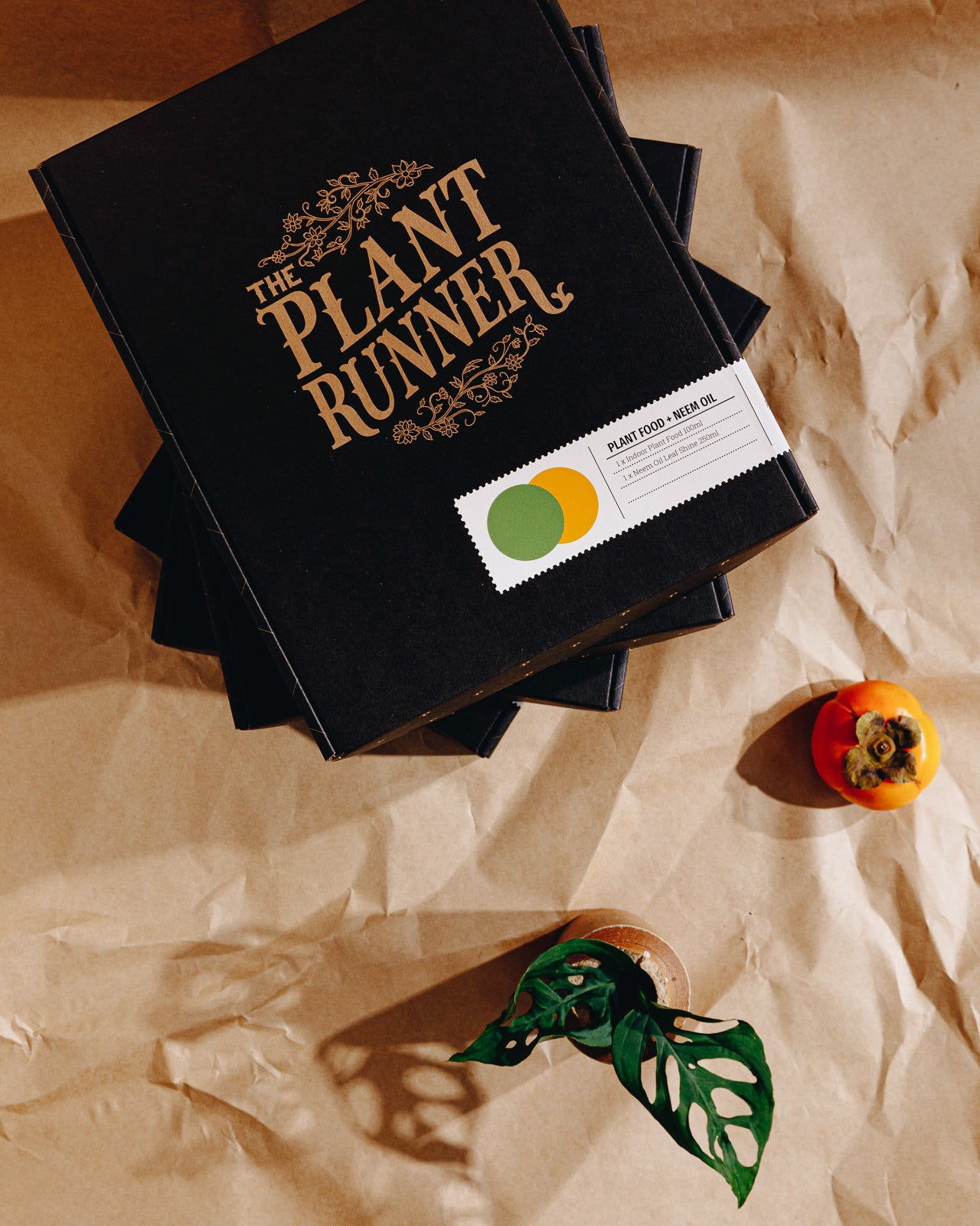 The Plant Runner Plant Care Essentials Kit